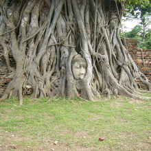 ワット マハータート 