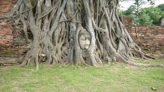 是非見てほしい場所です