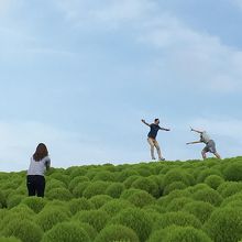 大陸の方たちが撮影大会を楽しんでいました