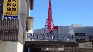 写真を撮ってくれたりもします