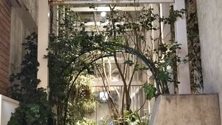 素敵なお庭のようなエリアがありました