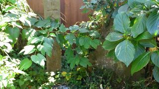 一遍上人の島井戸