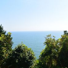 展望台からの眺め