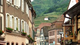 近隣観光地では比較的大きいほう