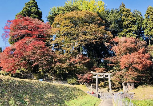 大山祇神社