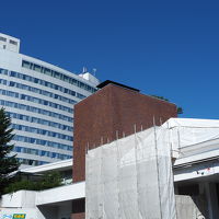 大きなホテルです。