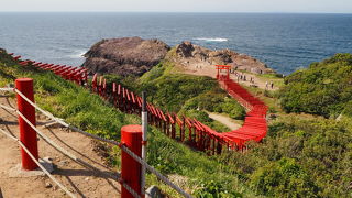 海岸まで続く赤い鳥居が特徴的な『元乃隅稲成神社』