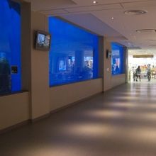 食事コーナー通路の水槽