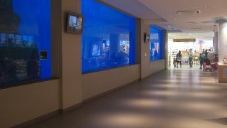 イルカショー今市