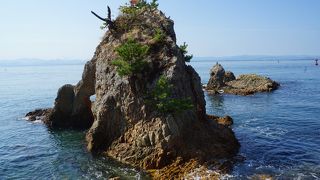 よく見るとなかなか美しい