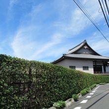 生垣越しに見える立派な本堂