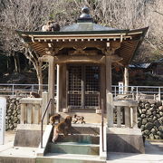 サルたちが餌付けにやってくる万寿寺別院