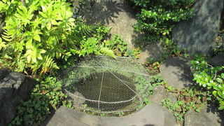 赤穂義士の興奮、息遣いが聞こえてきます