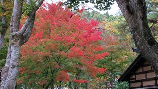 切り妻造り、木羽葺き屋根の建物です。家の周りの紅葉がきれいです。