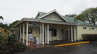 観光バスも止まります。