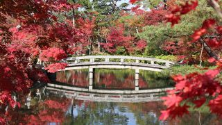 紅葉と言えばここ！