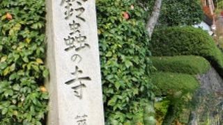 黄色いお守りが名物