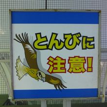 どうもトンビがいたずらをするようです．