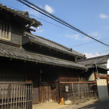 生で見て下さい