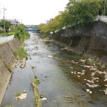 鶴ヶ峰付近の様子、石がごろごろしてる