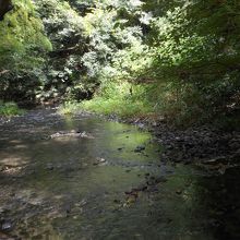 帷子川旧河道（鶴ヶ峰駅付近）