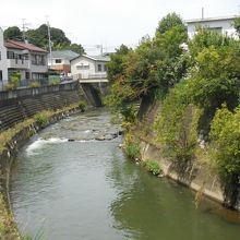 西谷と上星川の中間あたり、曲りくねってる