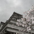 会津若松の桜の名所