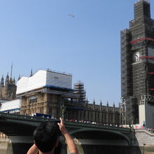 雰囲気はいまいち