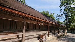 樹皮を使った屋根