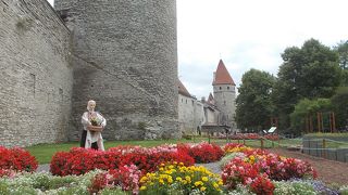 城壁とお花畑と若い女性