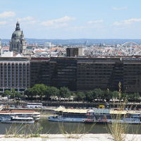 対岸の王宮から撮影