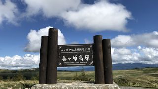 美しい高原の初秋のお花畑も綺麗♪