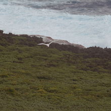 ロタ島バードサンクチュアリの風景