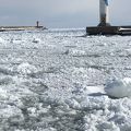 流氷が多すぎてもダメです