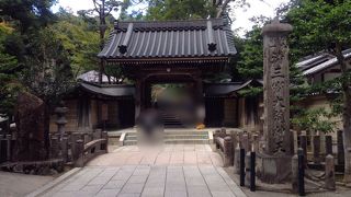 見上げている人も多かったです