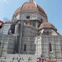 ドウモーの存在は素晴らしいです。