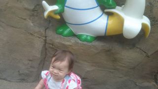 ワニがたくさん