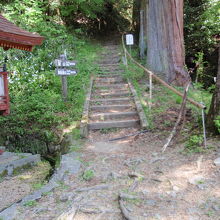 権殿右手の登山口