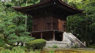 一面苔の庭に佇む多宝塔