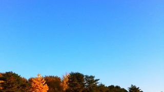 武蔵野の森 総合スポーツプラザ