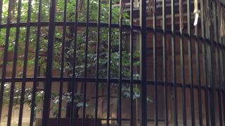 お賽銭を倍返し