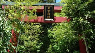 境内は新しく、女性好みに造られています