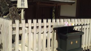 目の神様ですね