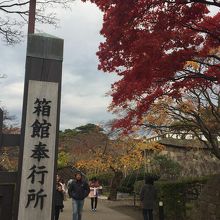 秋は紅葉、春は桜が綺麗なのでその時期がおすすめ