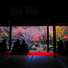 縁側からの眺め。