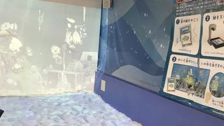 アカチャンホンポにきたのに