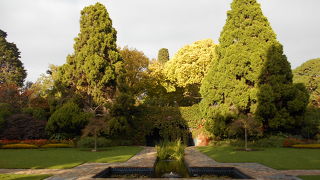 キングスドメインのエリアにあります