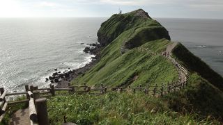 岬までの長い遊歩道