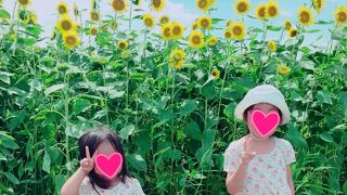座間のひまわり畑に行って来ました^_^