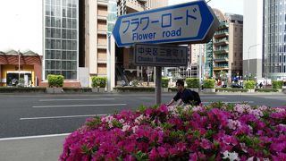 フラワーロード 